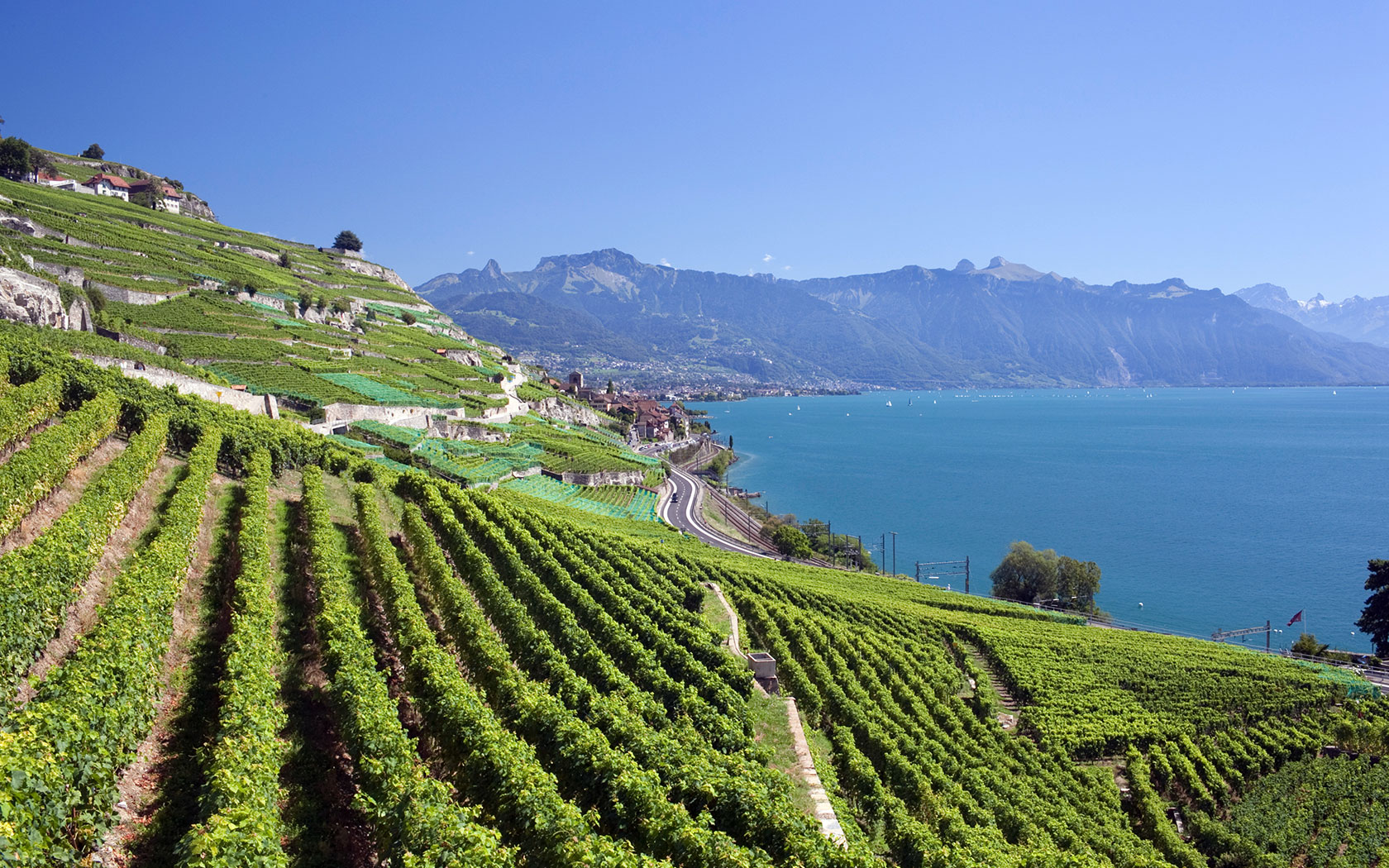 Lausanne Marathon, Lausanne