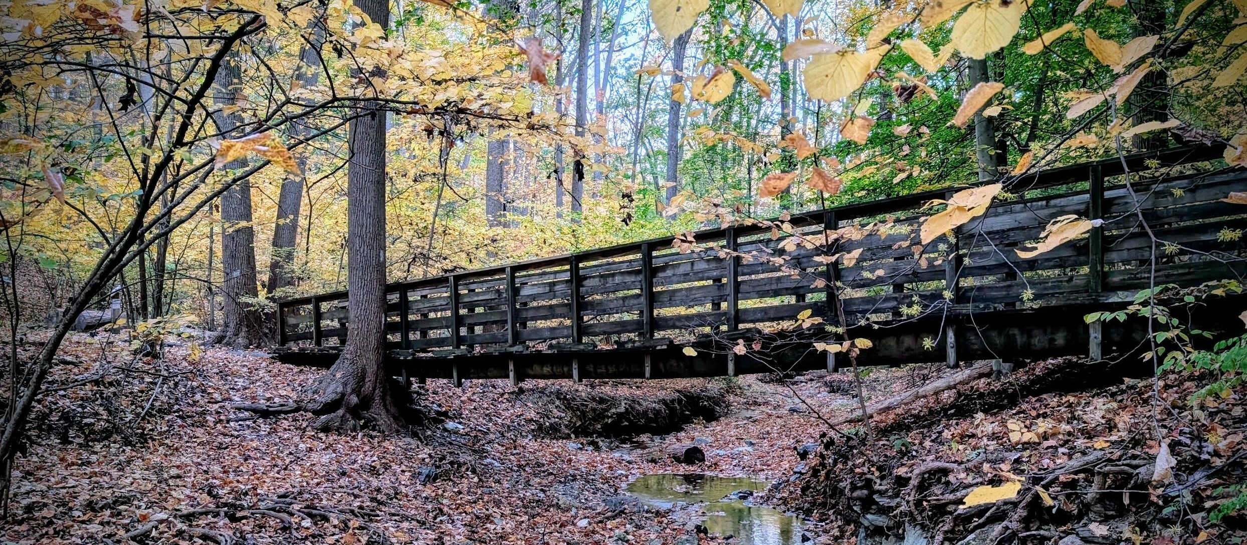 McKaig Nature Education Center, Wayne