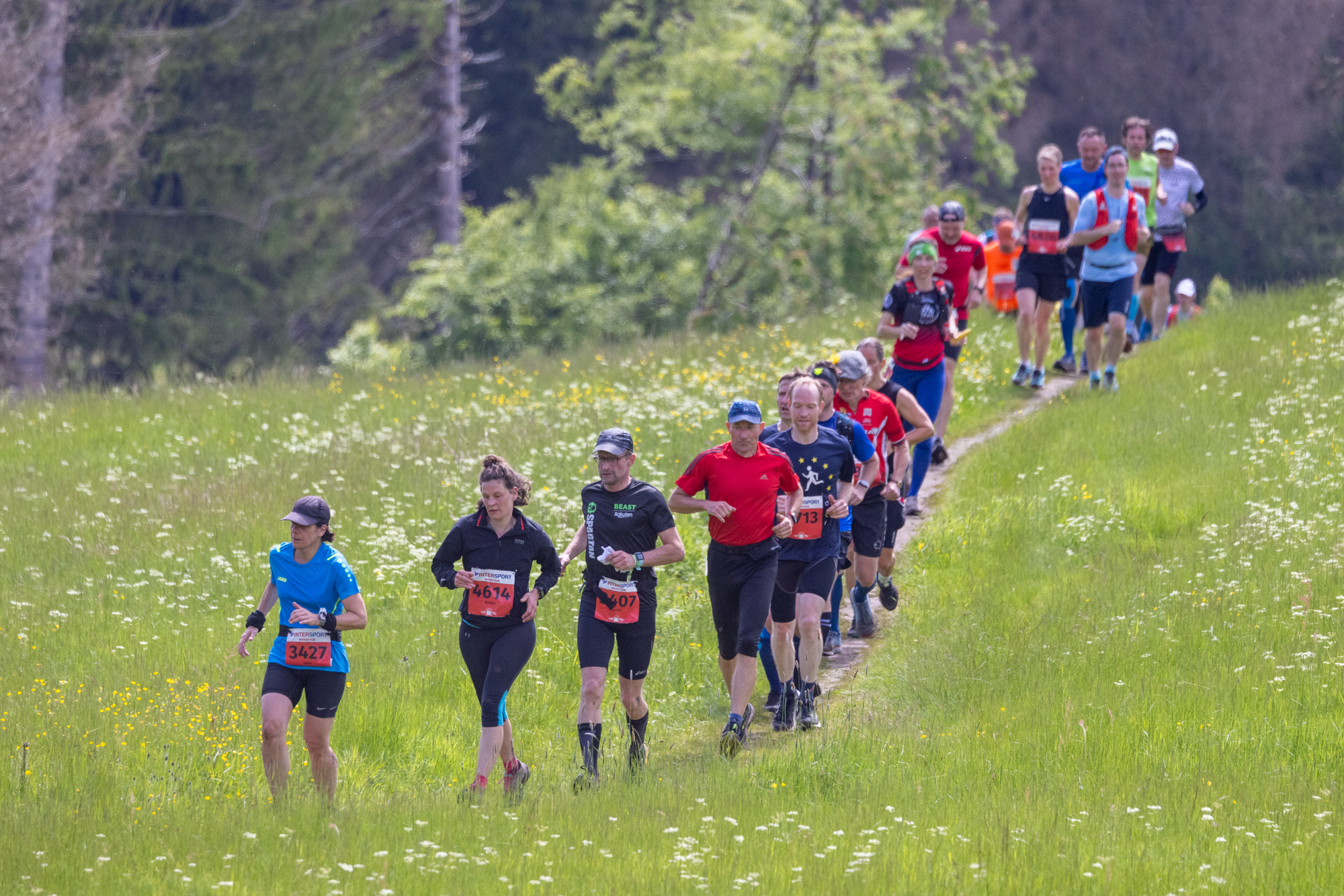 GutsMuths Rennsteiglauf, Schmiedefeld