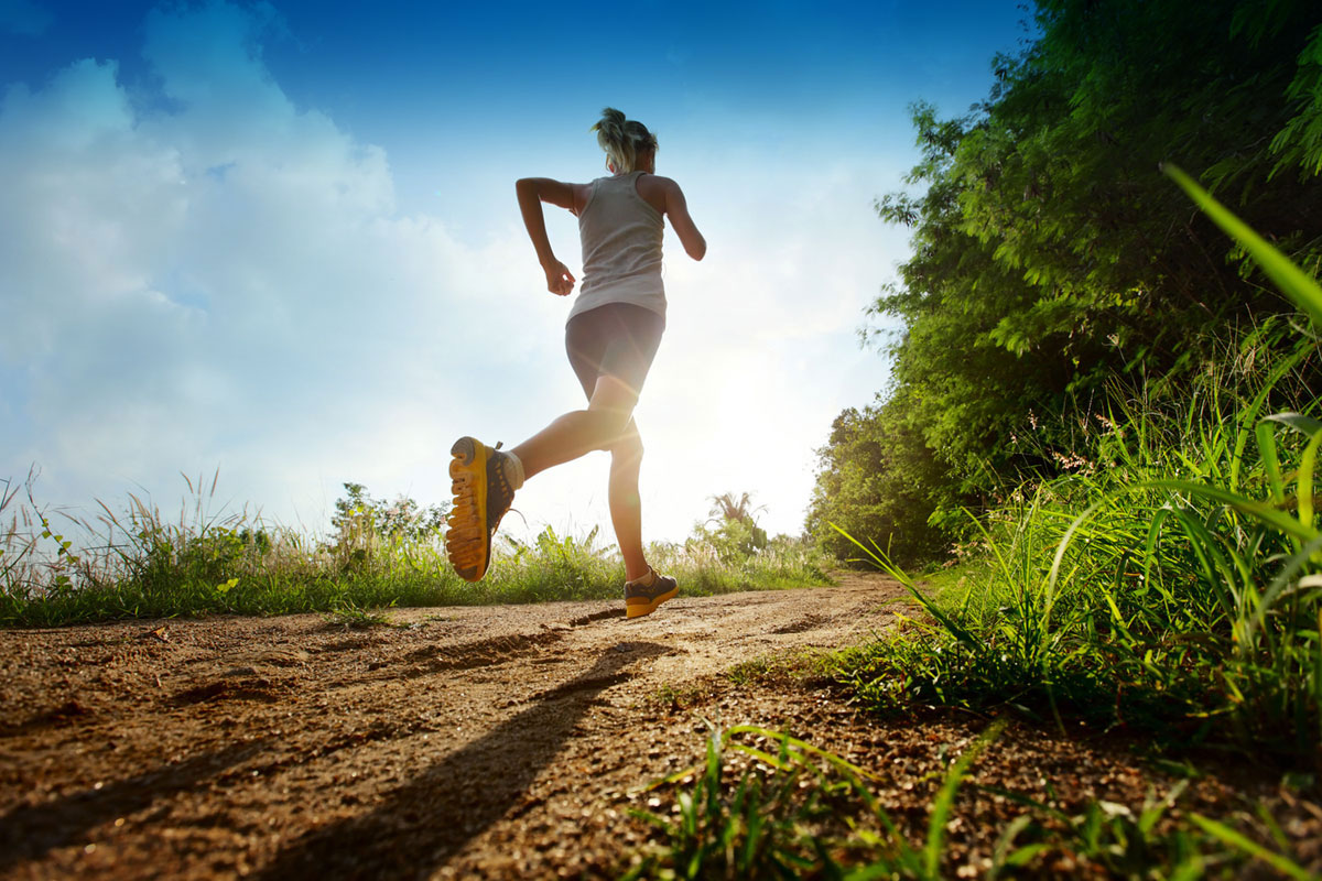 LES ÉVÉNEMENTS CHRONO PUCES PAR SPORT, Chauffailles